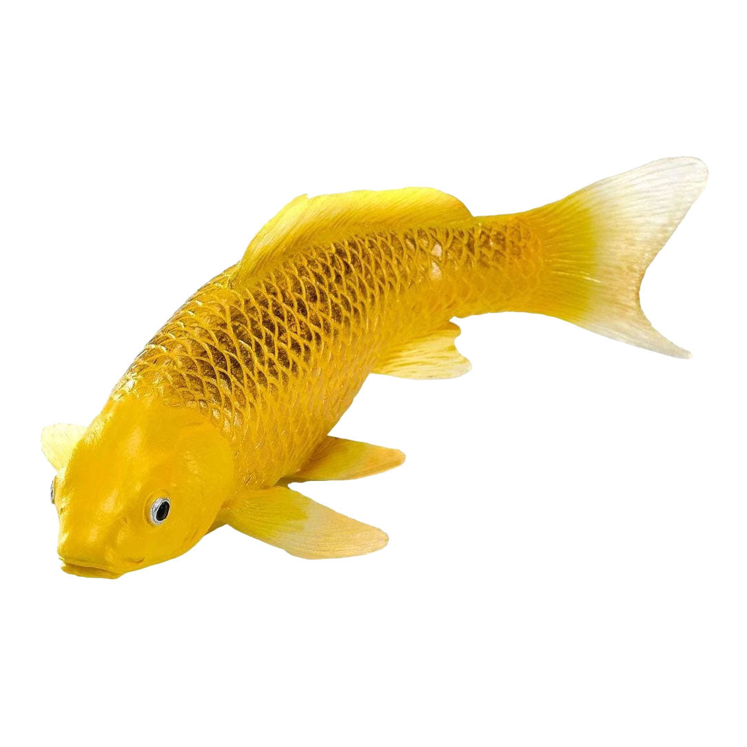 Mojo Koi-Kollektion – Kin Matsuba Koi Gold 381123