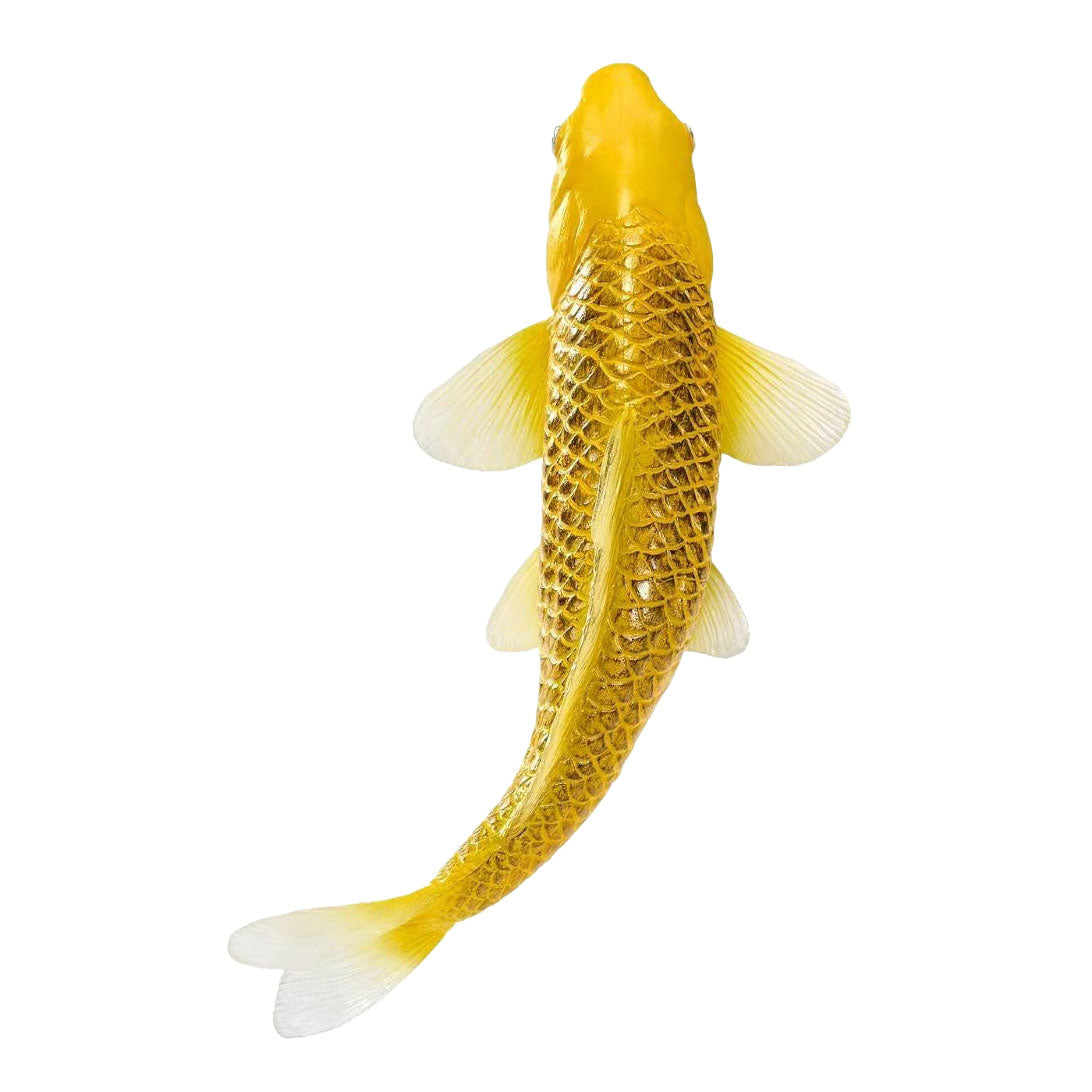 Mojo Koi-Kollektion – Kin Matsuba Koi Gold 381123
