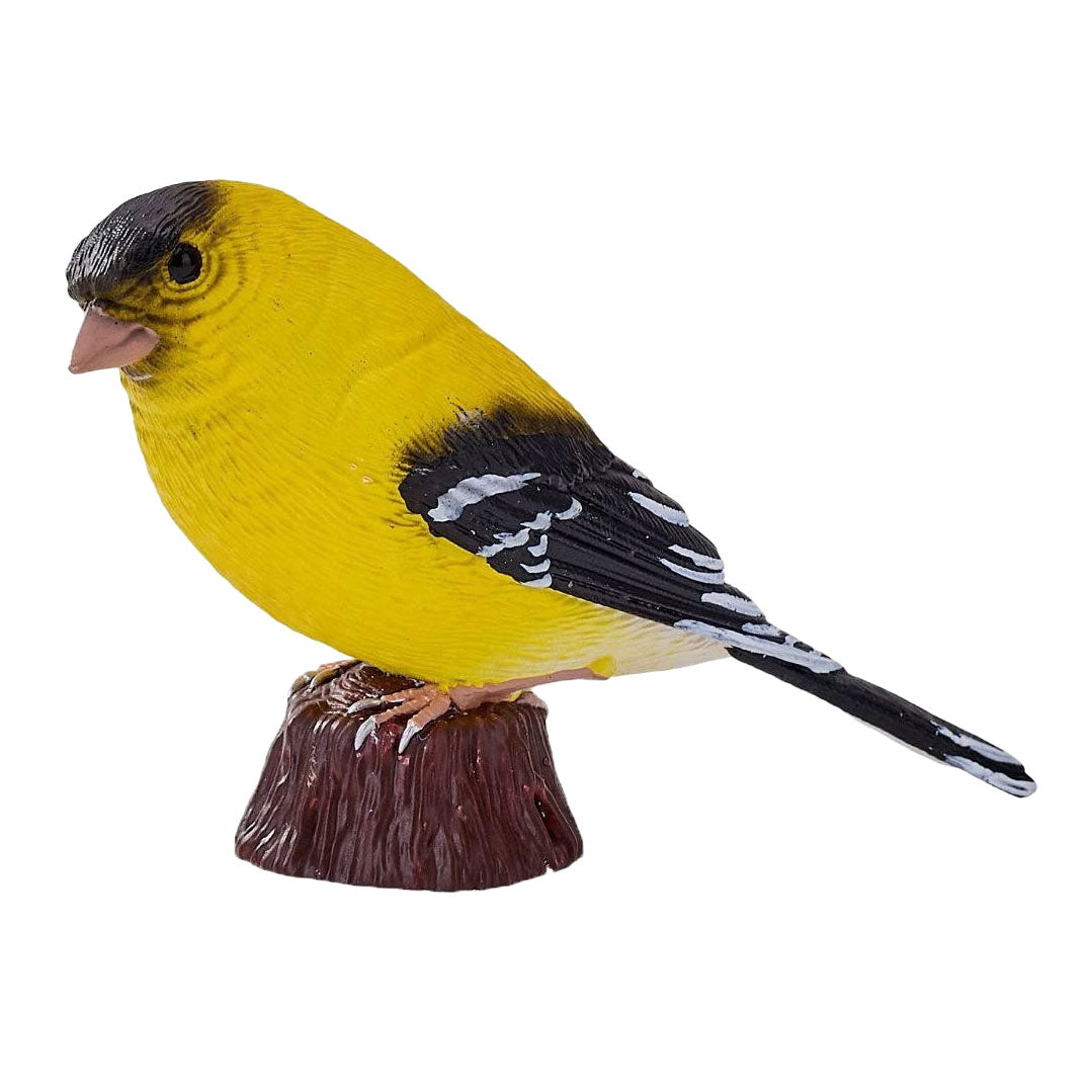 Mojo Gartenvögel Amerikanischer Stieglitz 381125