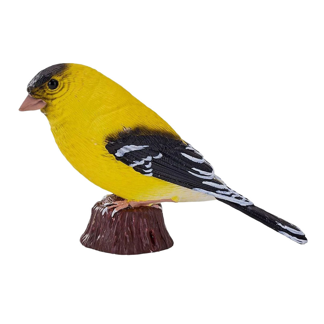 Mojo Gartenvögel Amerikanischer Stieglitz 381125
