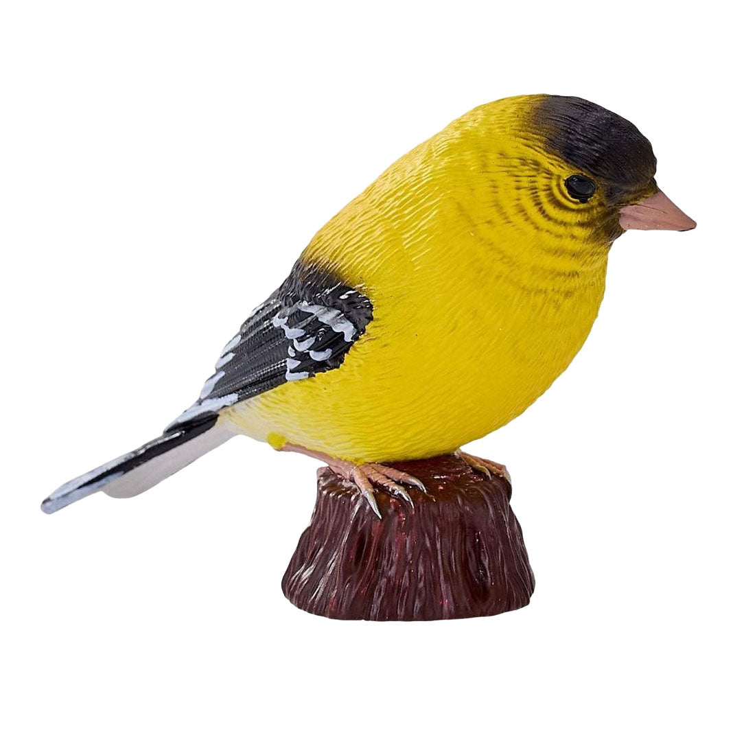 Mojo Gartenvögel Amerikanischer Stieglitz 381125
