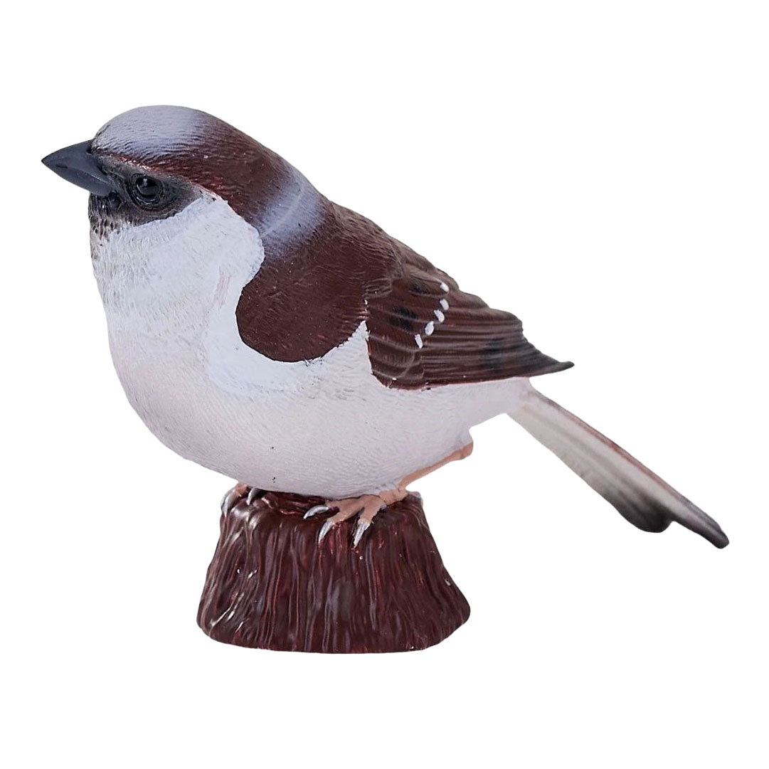 Mojo Gartenvögel Haussperling 381128