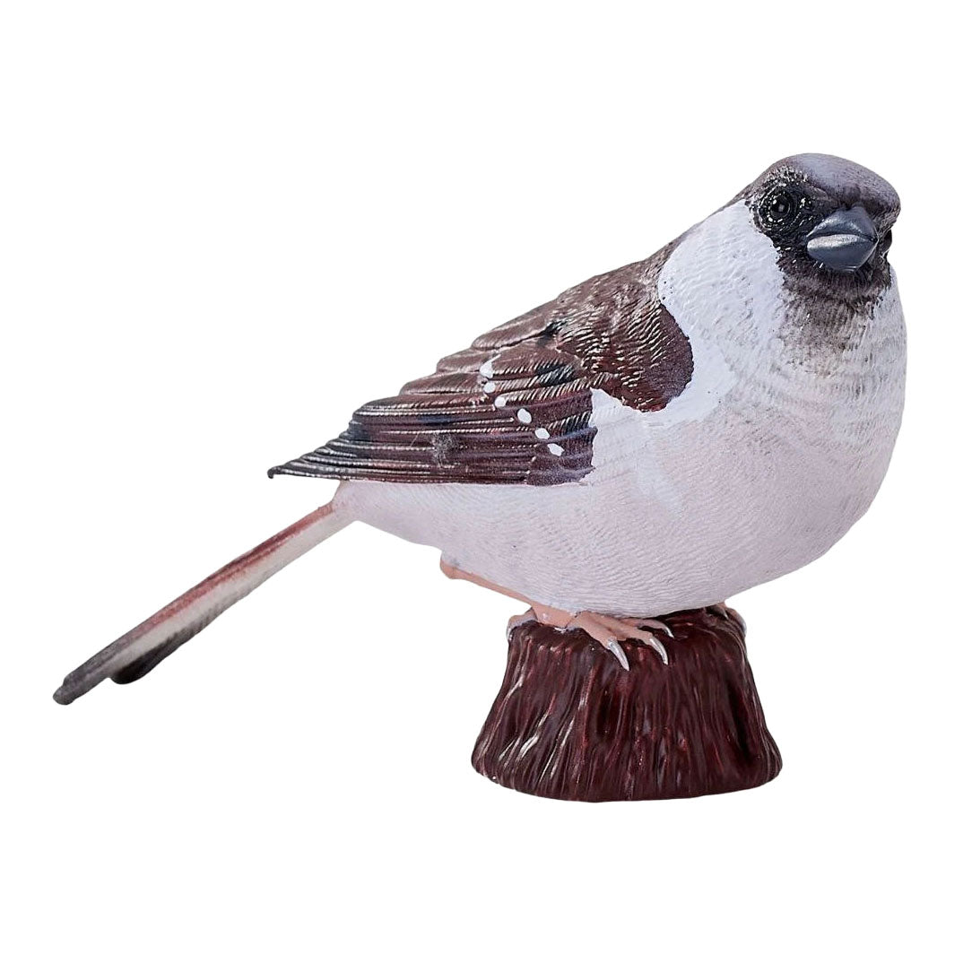 Mojo Gartenvögel Haussperling 381128
