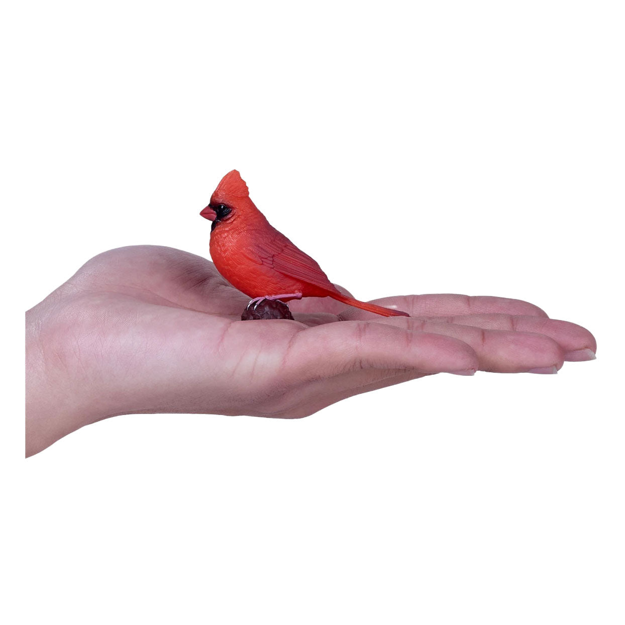 Mojo Gartenvögel roter Kardinal 381131