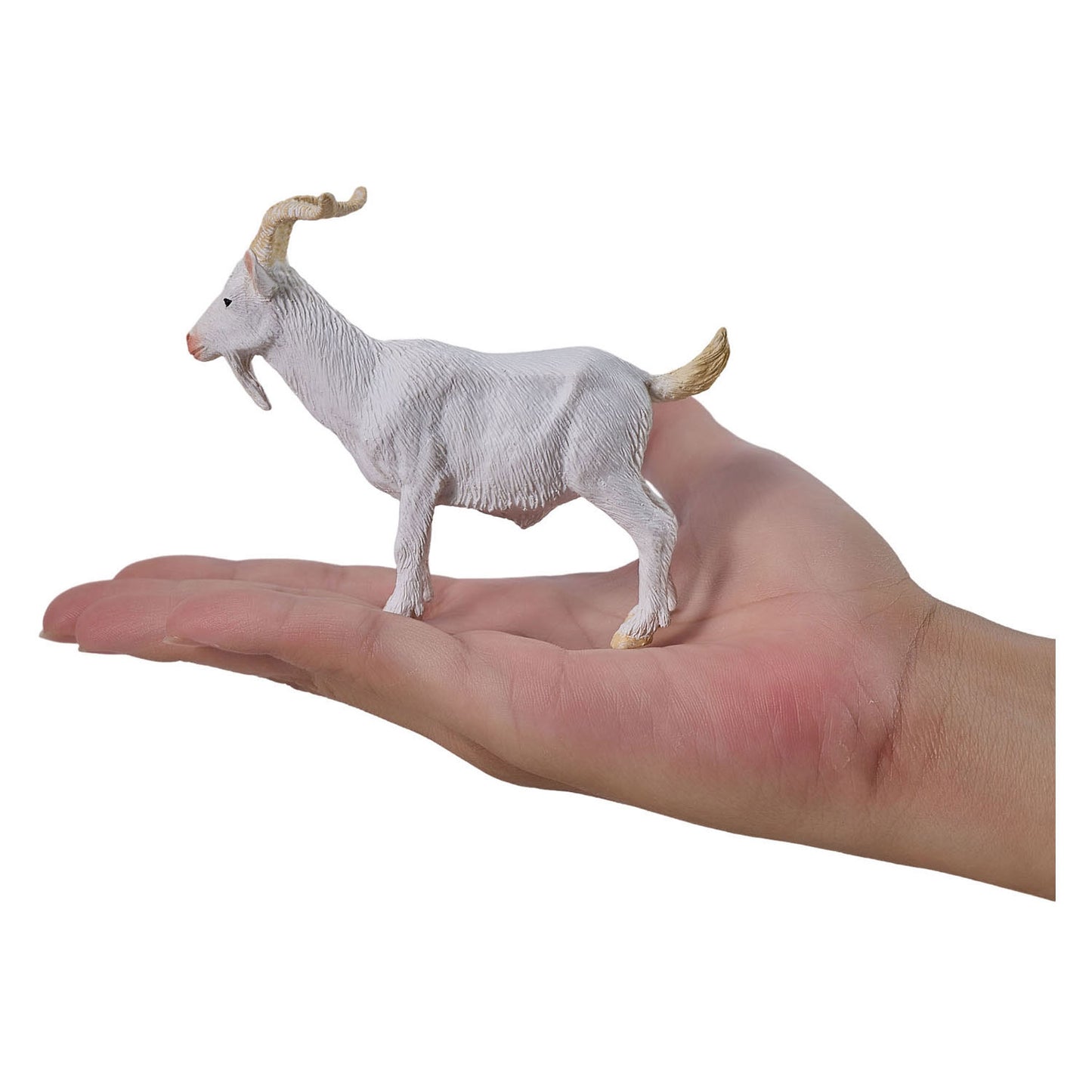 Mojo Ziegenbock - 381136