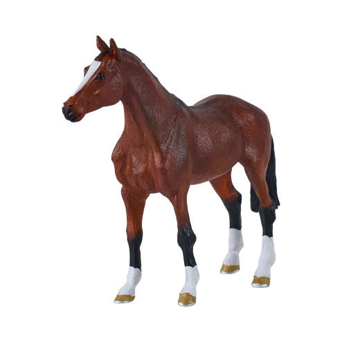 Mojo königliches Warmblutpferd – 381155
