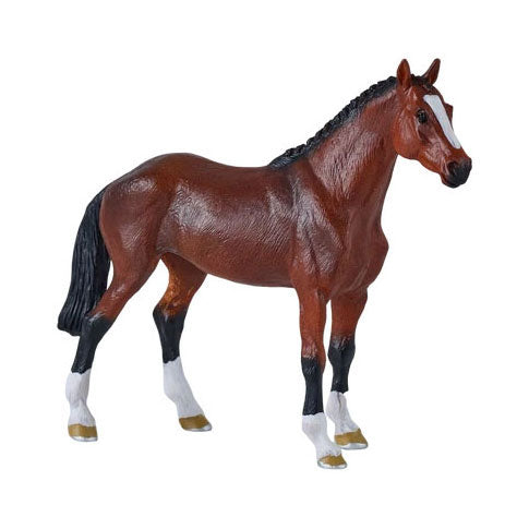 Mojo königliches Warmblutpferd – 381155