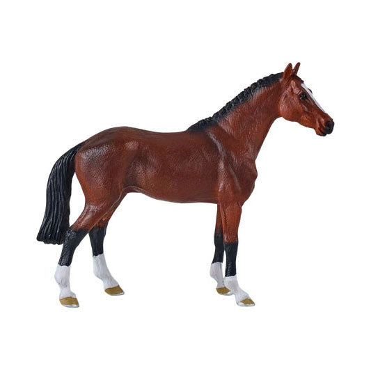 Mojo königliches Warmblutpferd – 381155