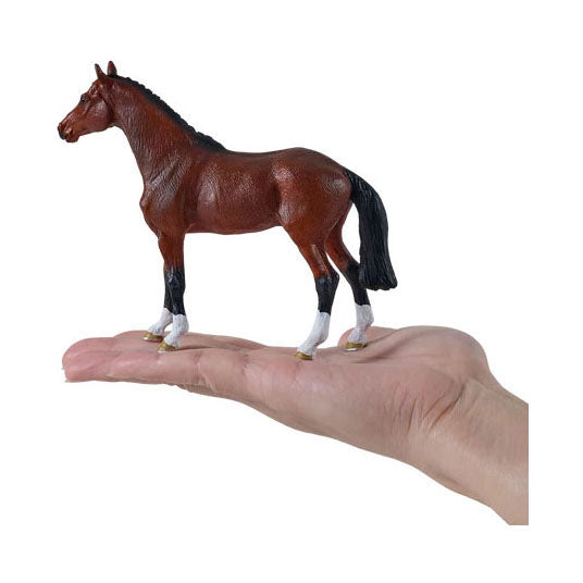 Mojo königliches Warmblutpferd – 381155