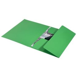 3-Klappen-Ordner Leitz 39060055 grün 100 g