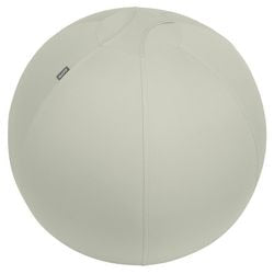 Leitz ergo active Sitzball – Anti-Roll-Design – 65 cm – hellgrau