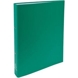 Ringbuch Exacompta 54373e pp 2 Ringe grün
