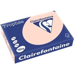 Clairefontaine A4 farbiges Papier lachsrosa 160 g m² 250 Blatt