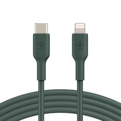 Ngk Lightniabel Belkin USB-C-Stecker 2 m