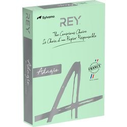 Farbiges Papier Rey Ryada160x418 Pastellgrün 160 g m²