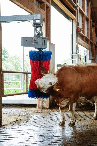 Happycow Kuhbürste Maxiswing
