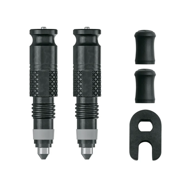 Schwalbe Frans Valiel Conversion Set SV-SCV Clic Ventil