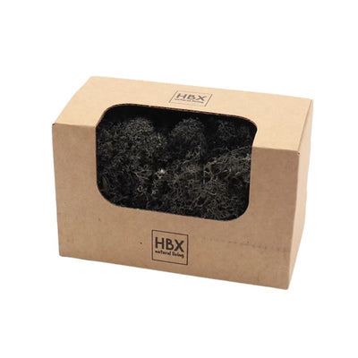 HBx Natural Living Basic Rentiermoos 50gr schwarz