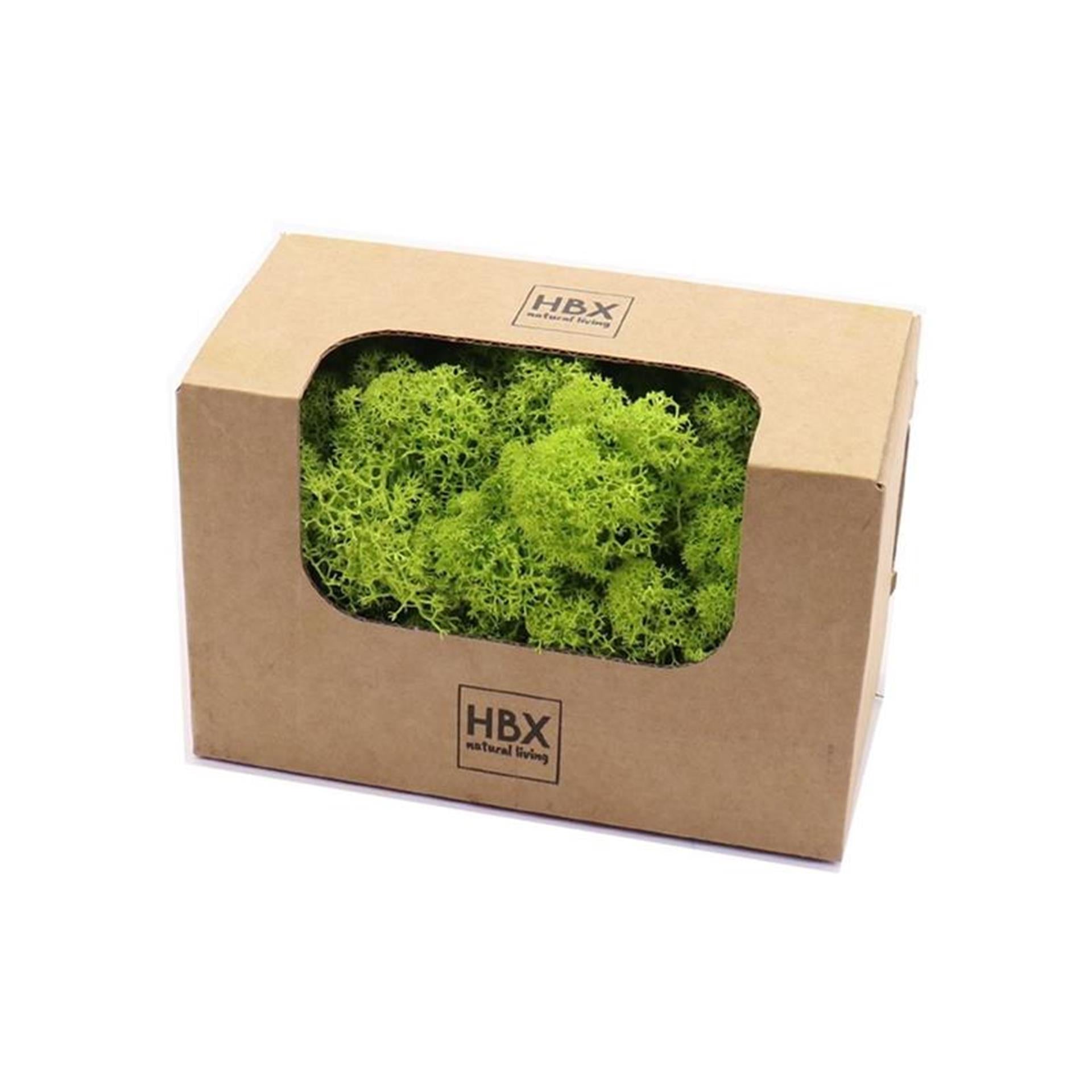 HBx Natural Living Basic Rentiermoos 50gr grün