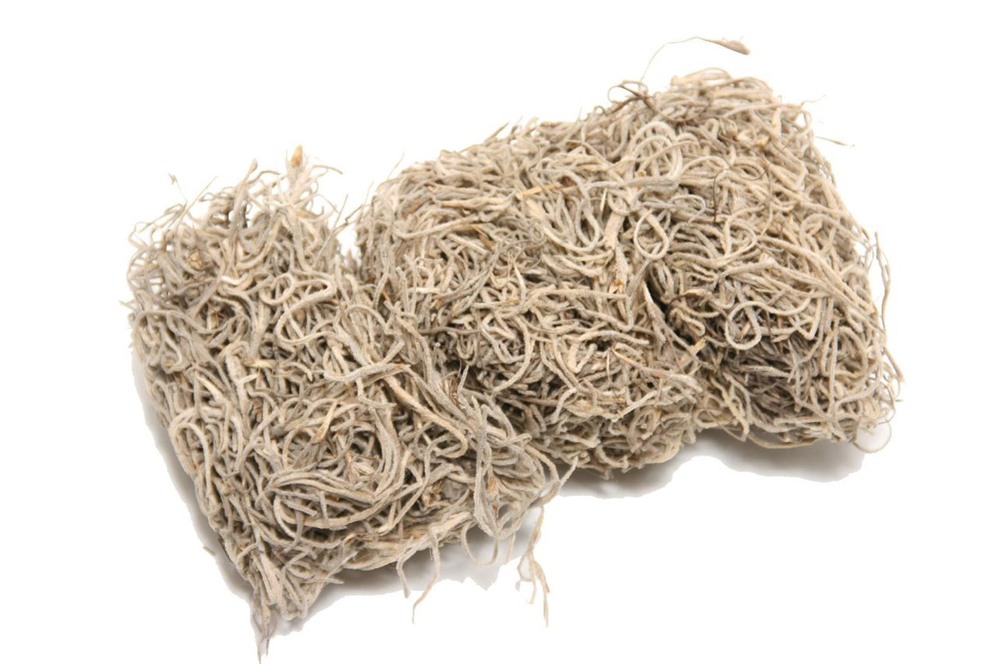 HBx natürliches lebendes Moos Tillandsia 80gr natürlich