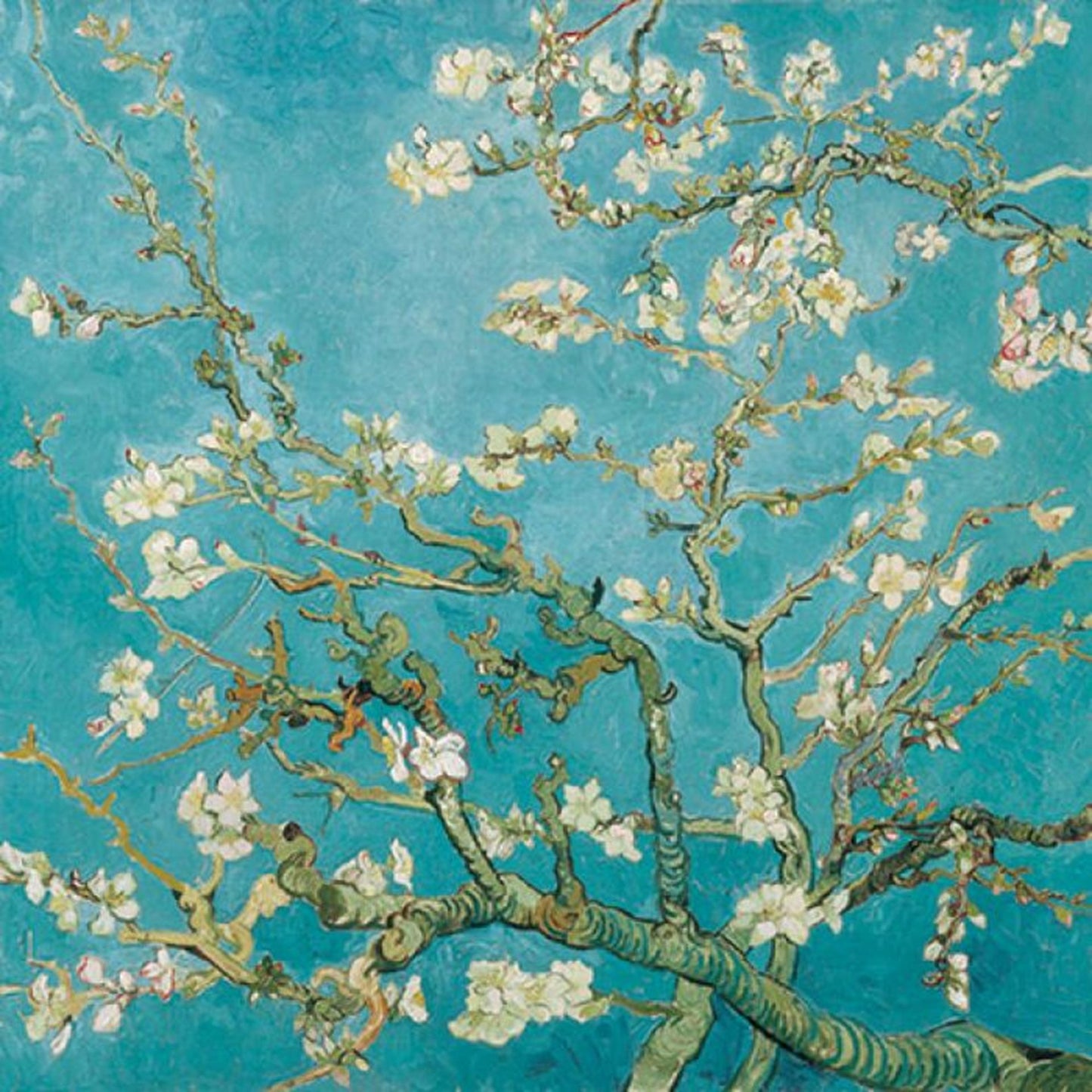Ambiente Serviette 33cm Mandelblüte