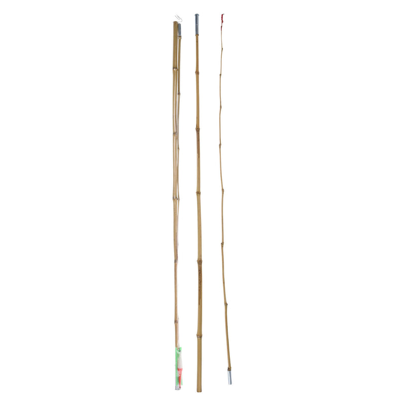 Hengel Bamboo, 2MTr.