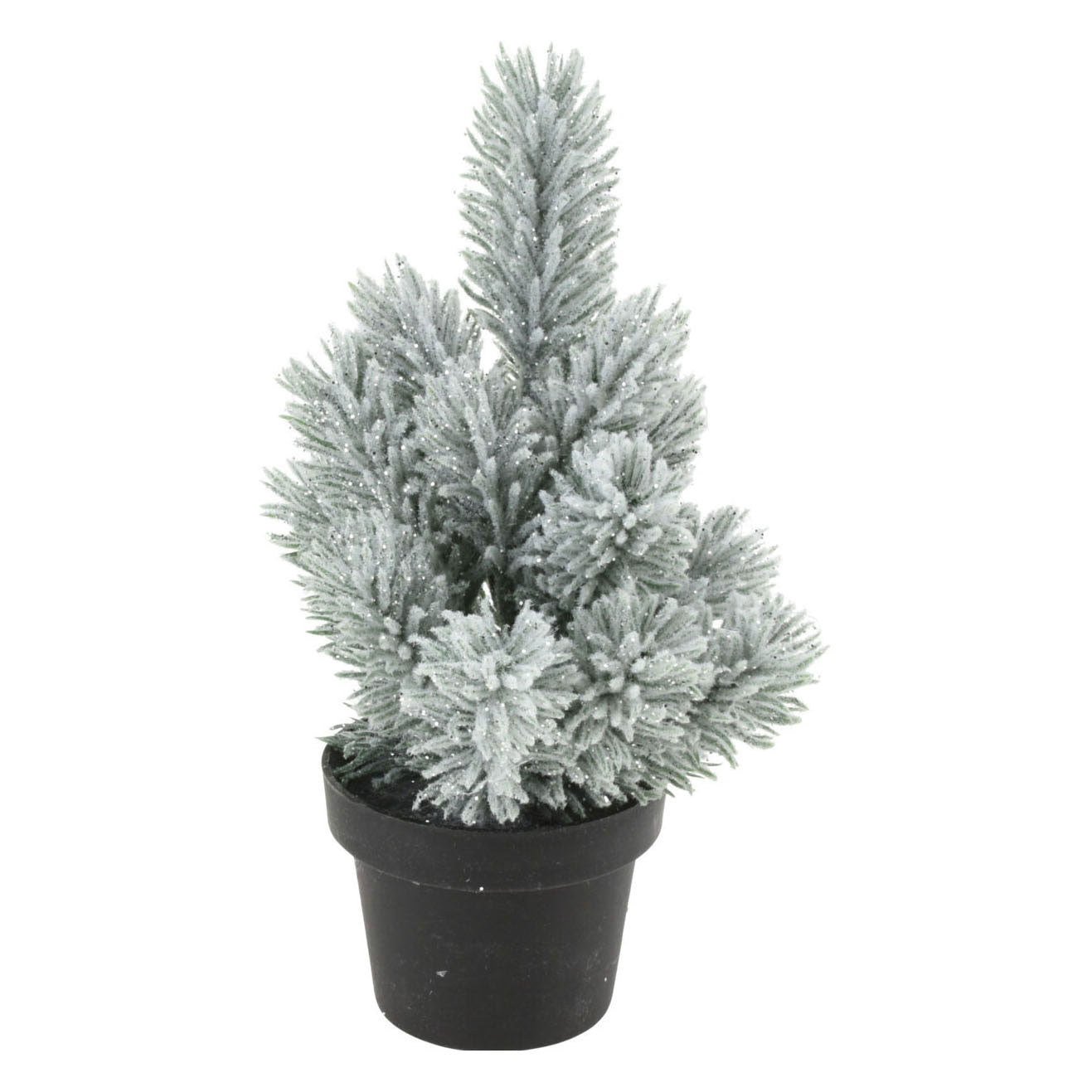 Denneboom im Topf, 33 cm