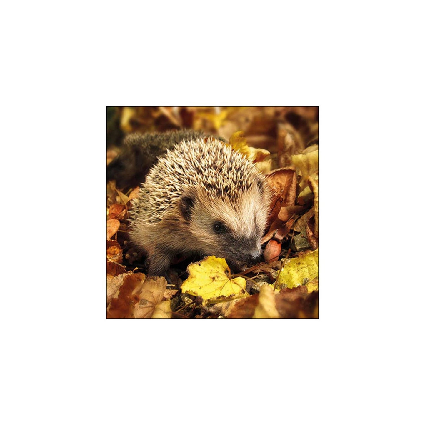 Ambiente Servietten Igel 33cm