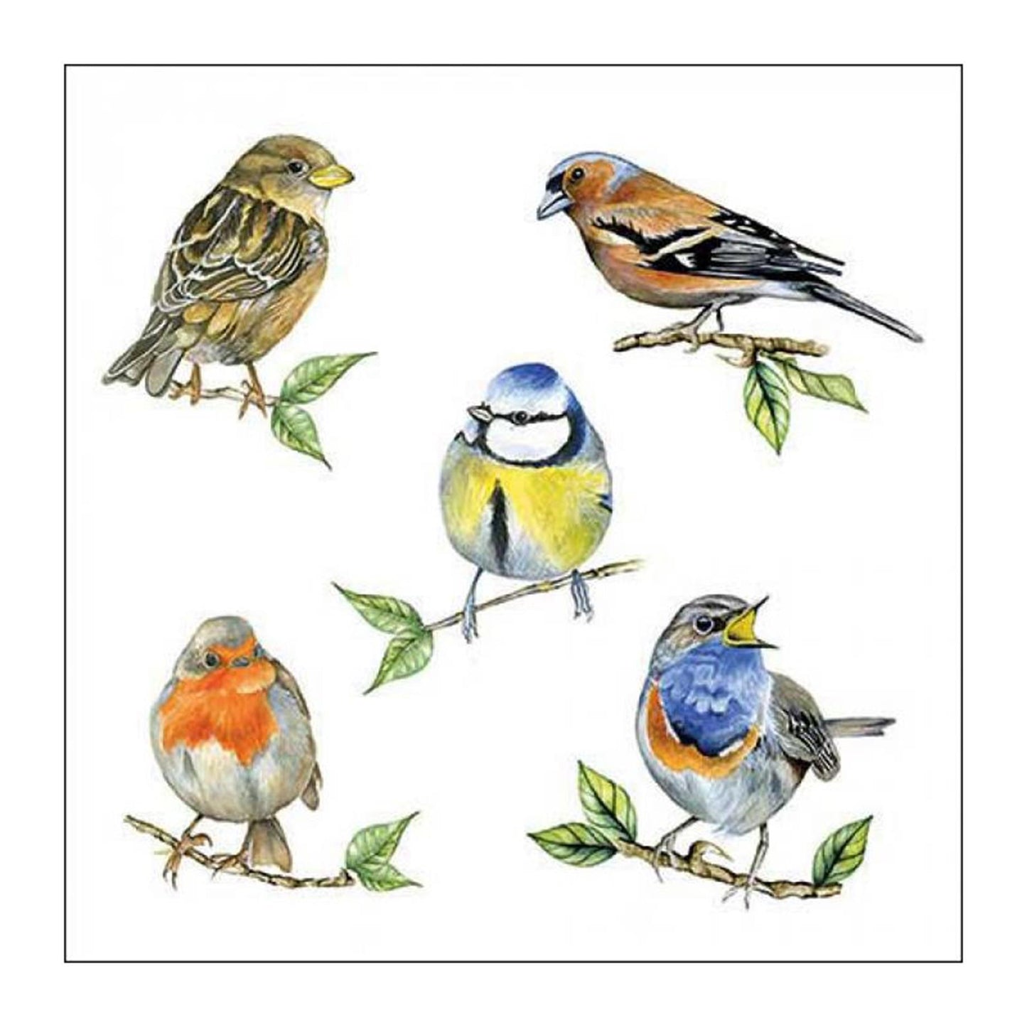 Ambiente Serviette 25 Vogelarten weiß