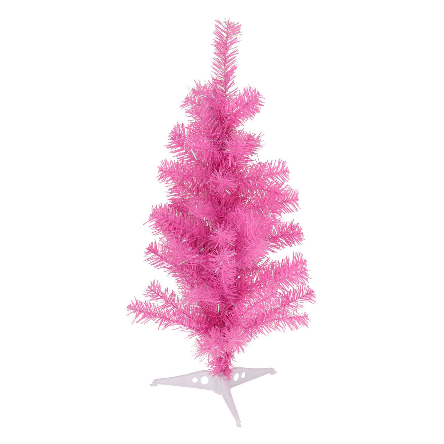 Weihnachtsbaumfuchsia, 60 cm
