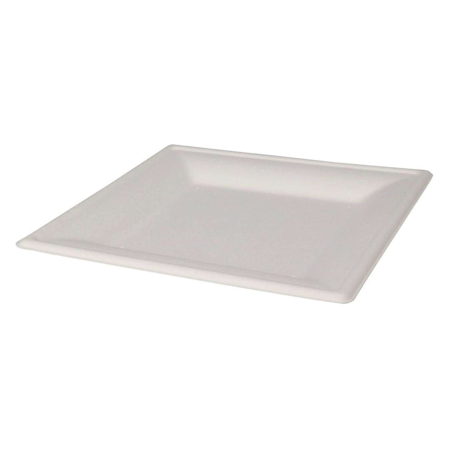 Einwegplatten Quadrat 20 cm, 8..