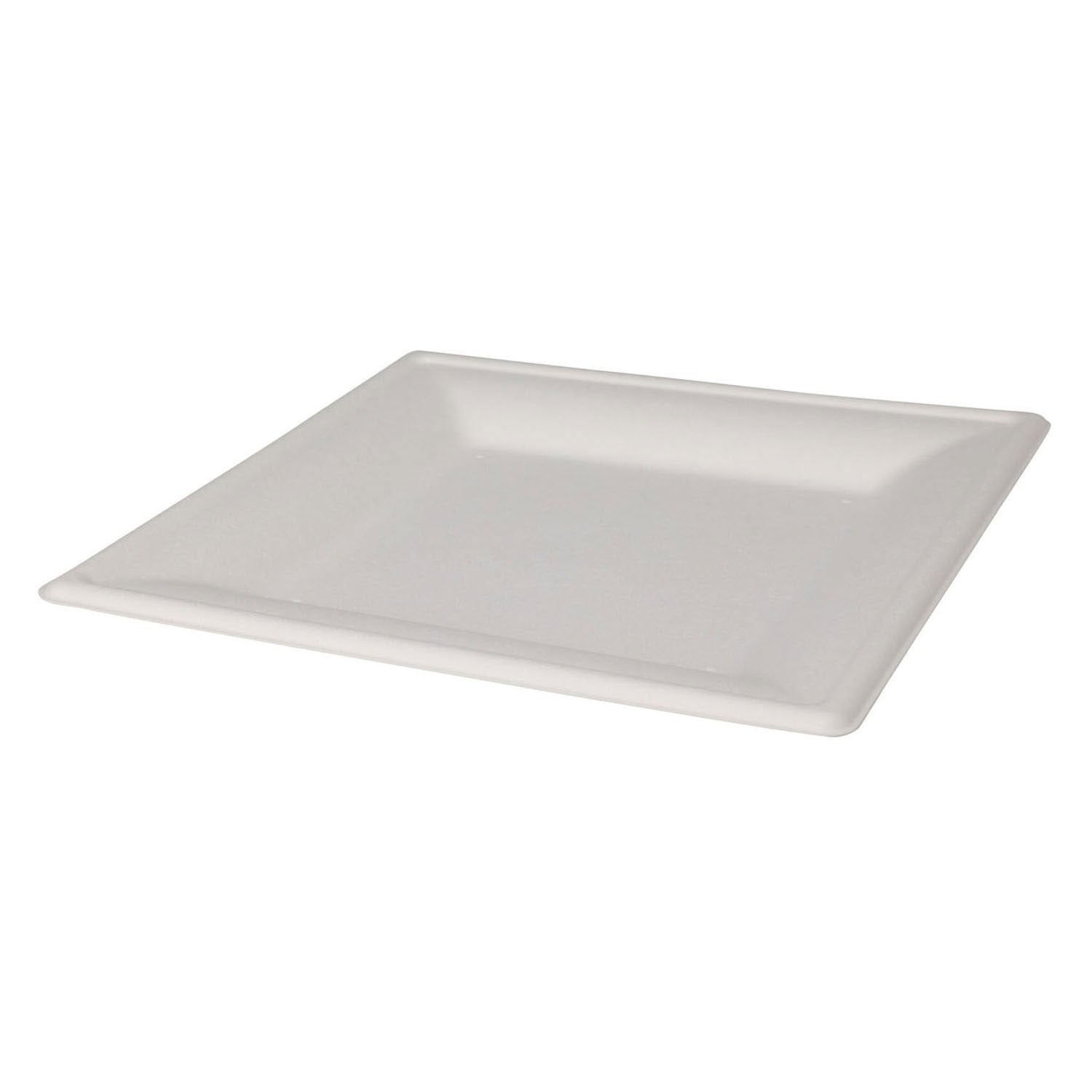 Einwegplatten Quadrat 20 cm, 8..