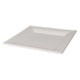 Einwegplatten Quadrat 20 cm, 8..