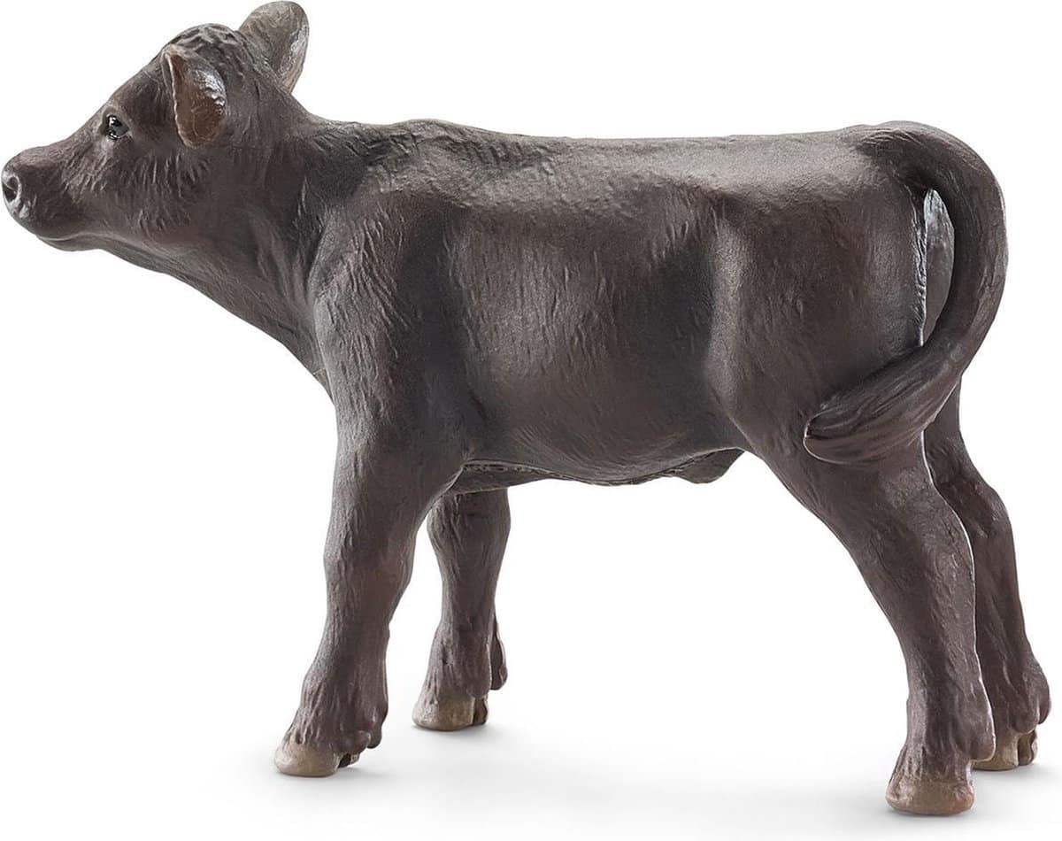Schwarzer Angus Kalf 137684