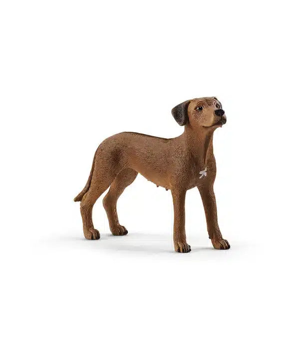 Schleichhund Rhodesian Ridgeback 13895
