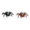 Fensterspinne