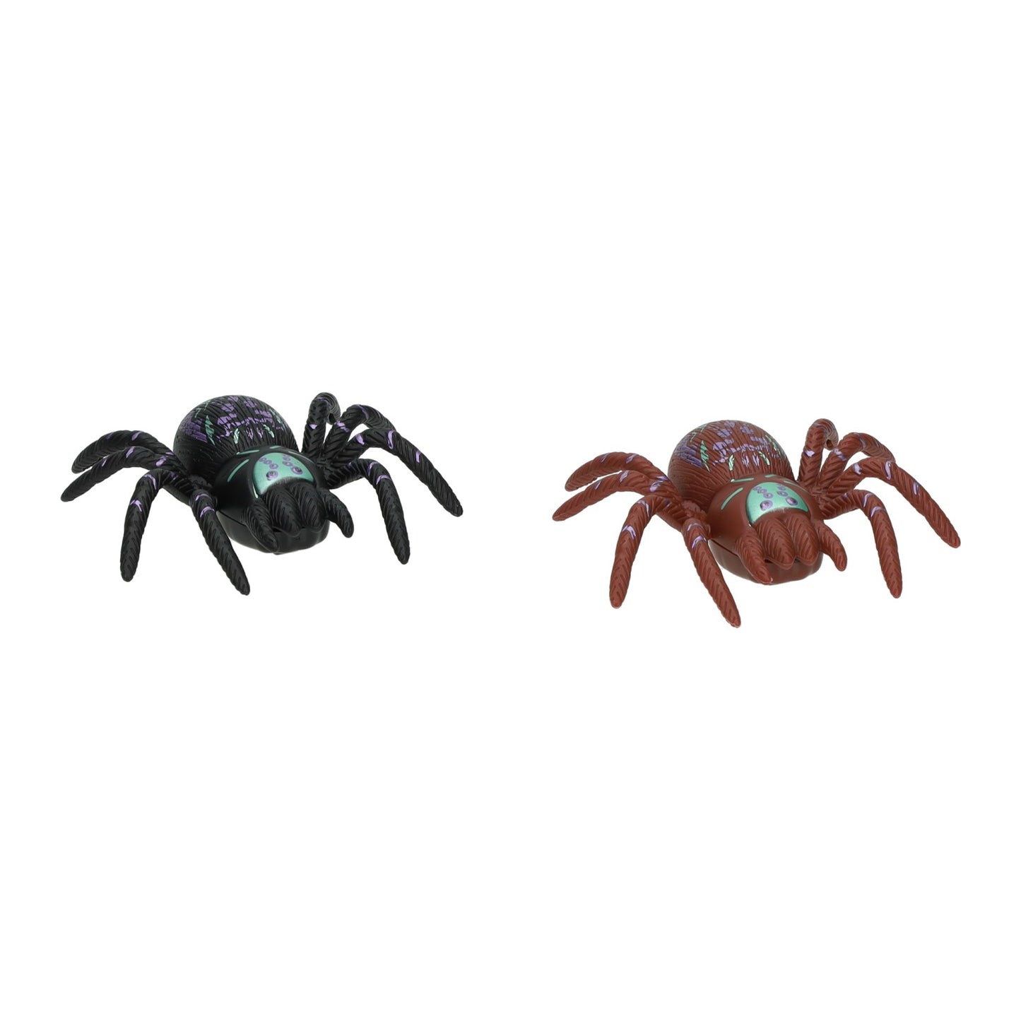 Fensterspinne