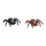 Fensterspinne - afbeelding 1