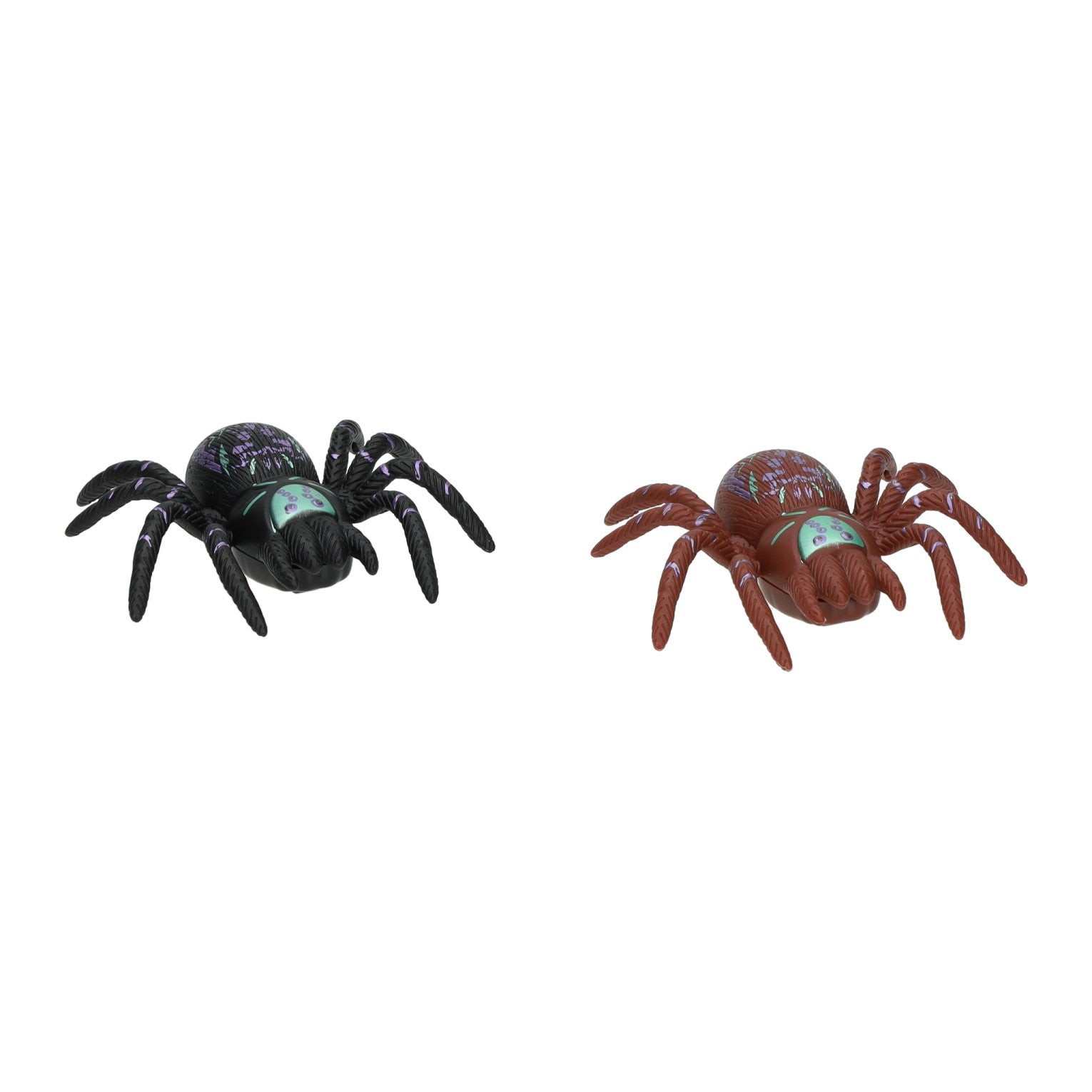 Fensterspinne