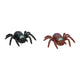 Fensterspinne