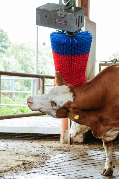 Happycow Kuhbürste Maxiswing