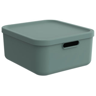 Rotho Decoration Storage Box Albula Light 20 l Mistelgrün