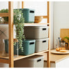 Rotho Decoration Storage Box Albula Light 20 l Mistelgrün