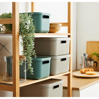 Rotho Decoration Storage Box Albula Light 20 l Mistelgrün