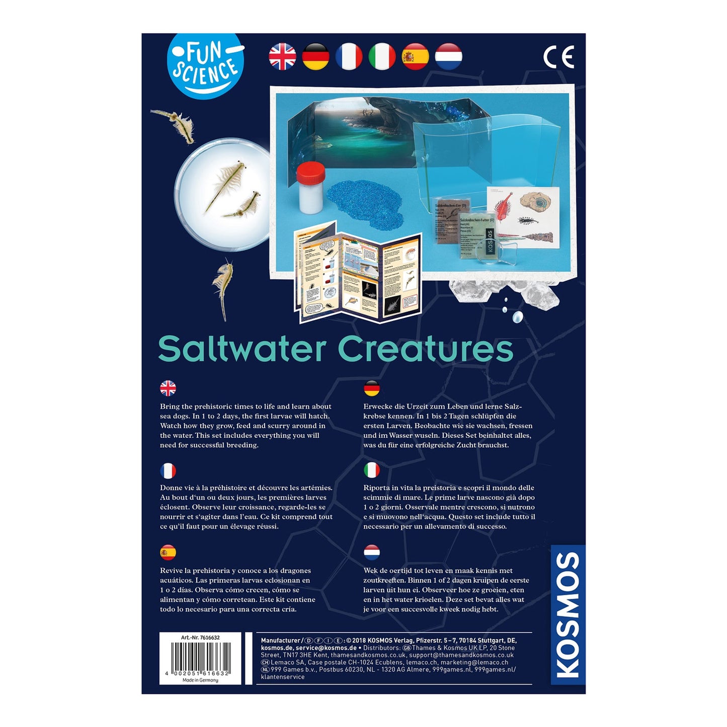 Wachsende Kosmos -Salzwasserkreationen