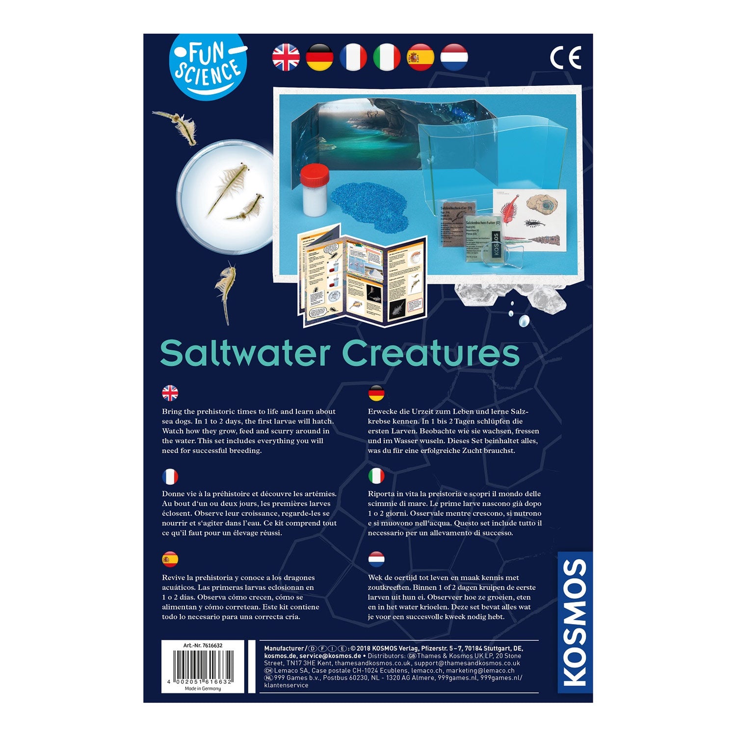 Wachsende Kosmos -Salzwasserkreationen