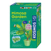 Wachsende Kosmos -Mimosa -Pflanzen