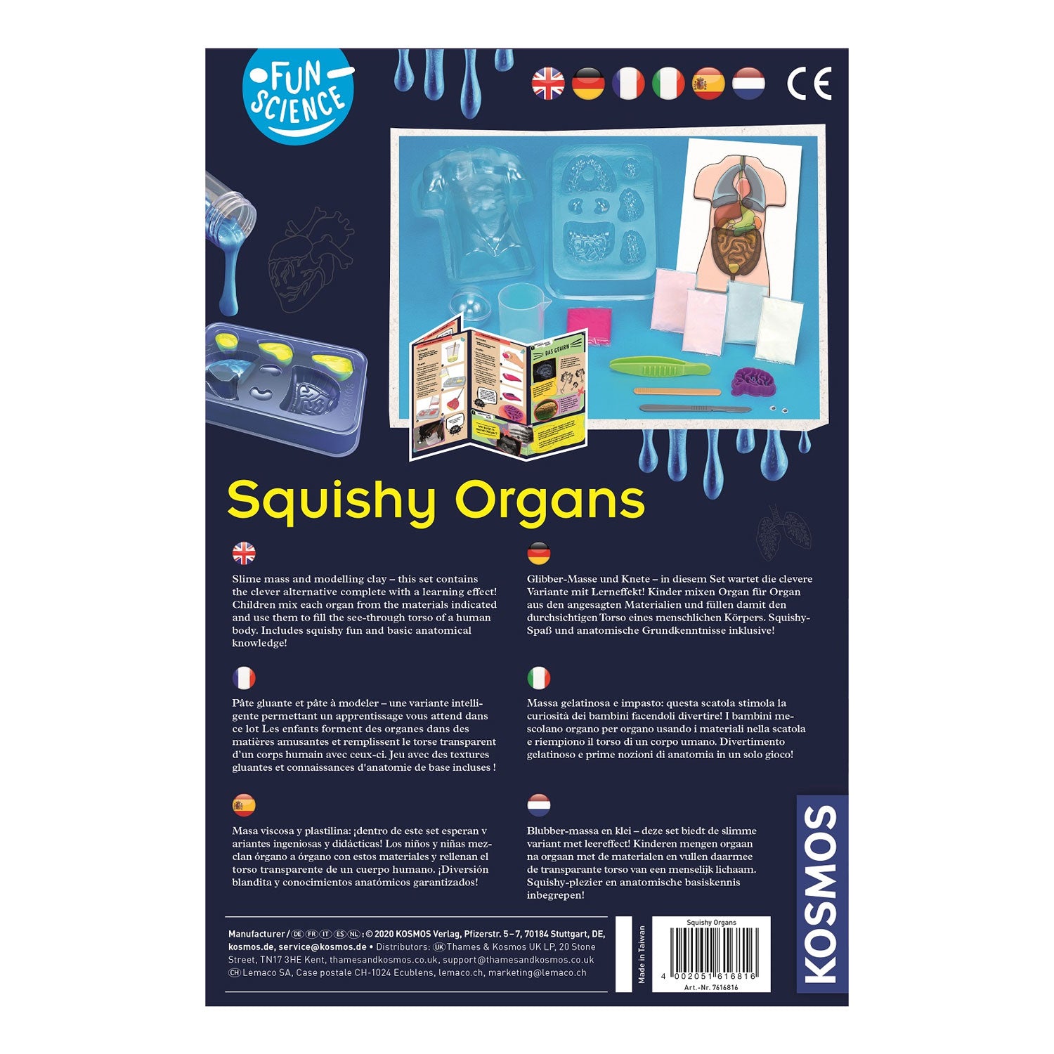 Machen Sie Kosmos quadratische Organe