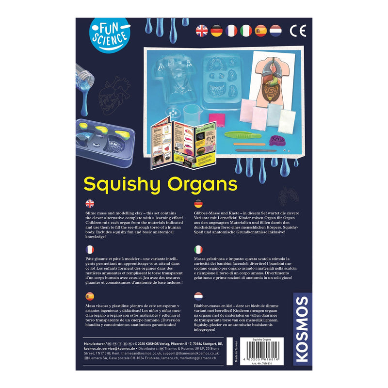 Machen Sie Kosmos quadratische Organe