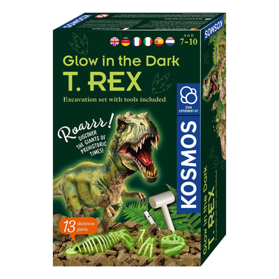 Kosmos leuchten im dunklen T-Rex-Bikken